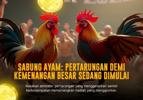 Mengenal Jenis Ayam Bangkok di Sabung Ayam SV388