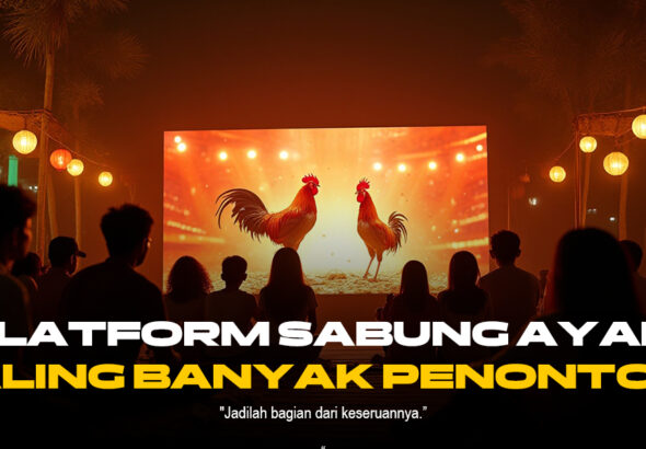 Mengenal Jenis Ayam Aduan SV388: Keunggulan dan Odds Terbaik