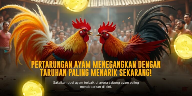 Mengenal Ayam Bangkok, Raja Sabung Ayam dengan Odds Paling Menarik di SV388
