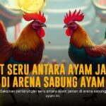 Mengenal SV388: Provider Sabung Ayam Online Favorit