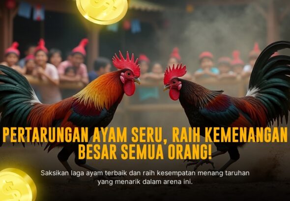 Mengenal Ayam Bangkok, Raja Sabung Ayam dengan Odds Terbaik di SV388