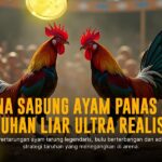 Mengulik Jenis Ayam Aduan yang Mendominasi Sabung Ayam SV388